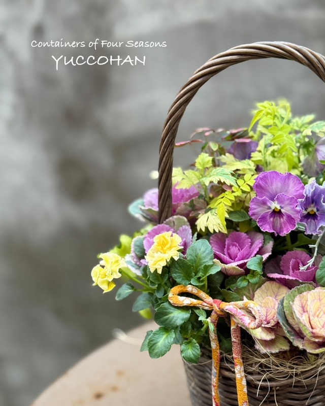 お正月から春まで楽しめる  ギャザリング寄せ植え バスケットA