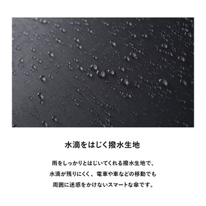 RM601 リボン 折りたたみ傘【a.s.s.a】