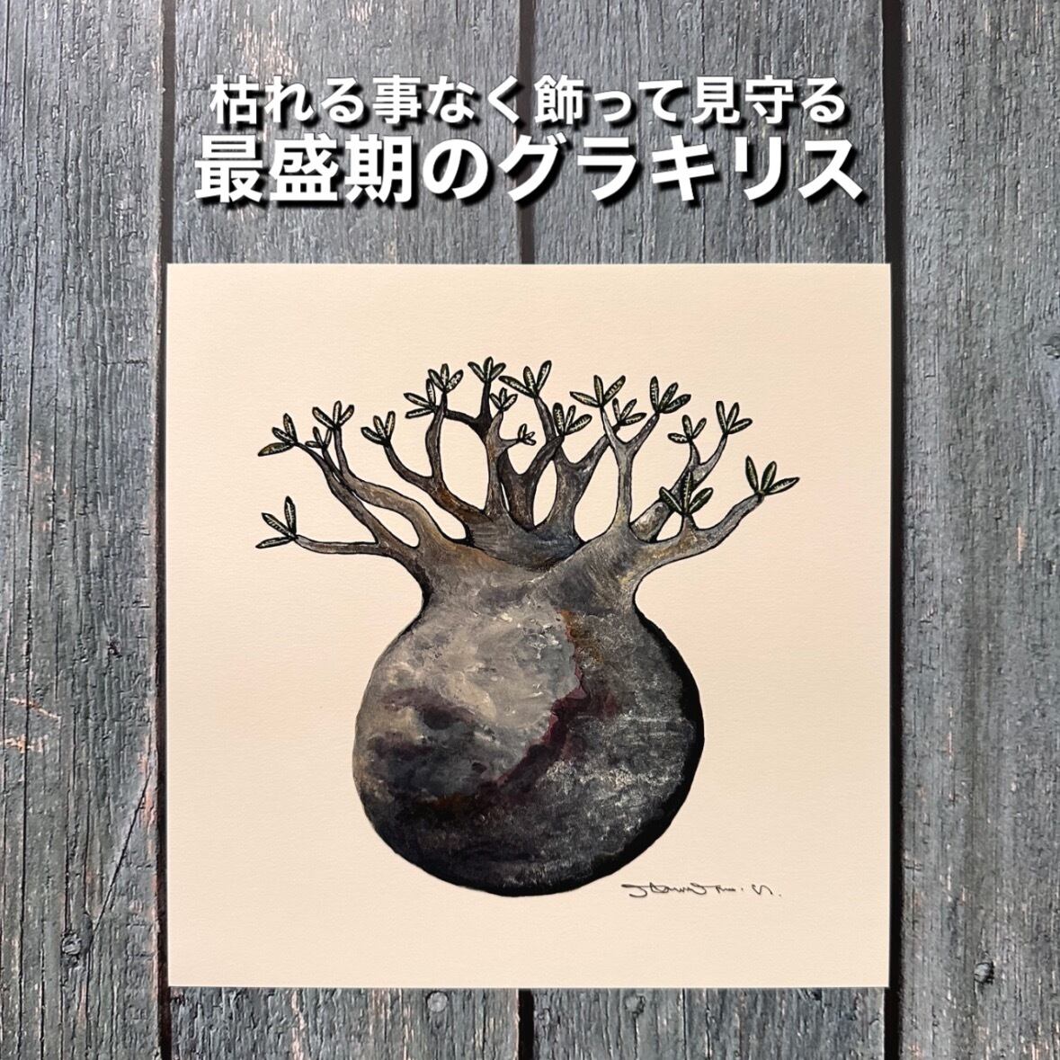 地球を感じるグラキリス】複製原画 | BOKUTO