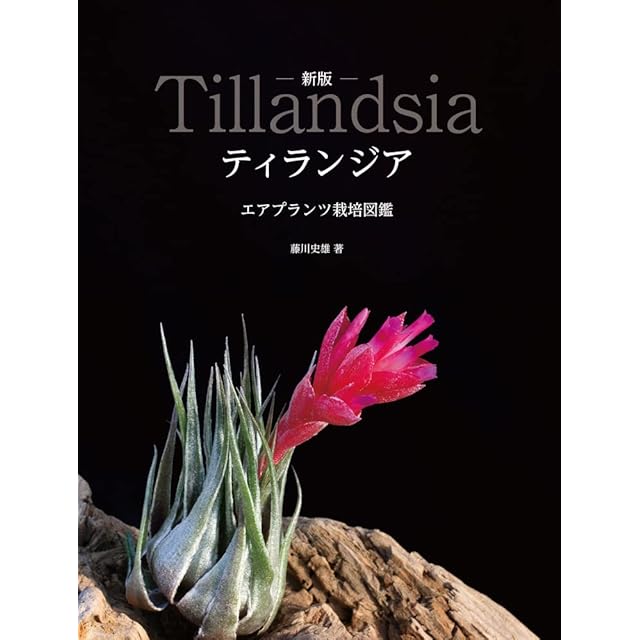 日本の野生植物 木本Ⅰ | PAY ID