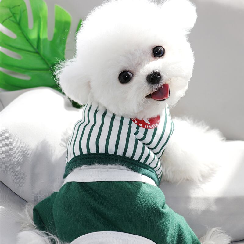 Pettie】ペット服 ワンワン ねこ服 夏の細い犬の4本足の服テディ