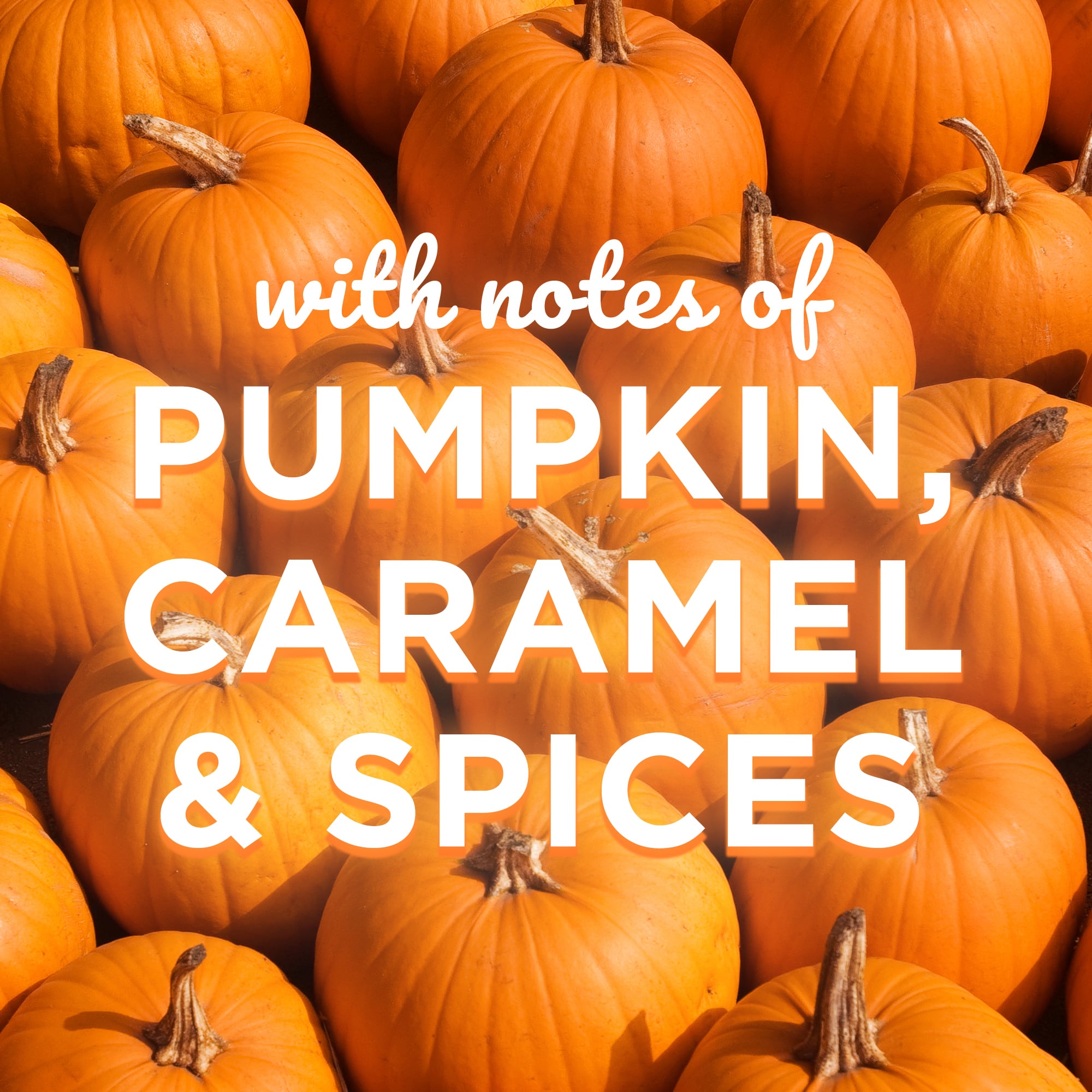 グレード アロマキャンド ル 大型キャンドル ジャーキャンドル 秋の