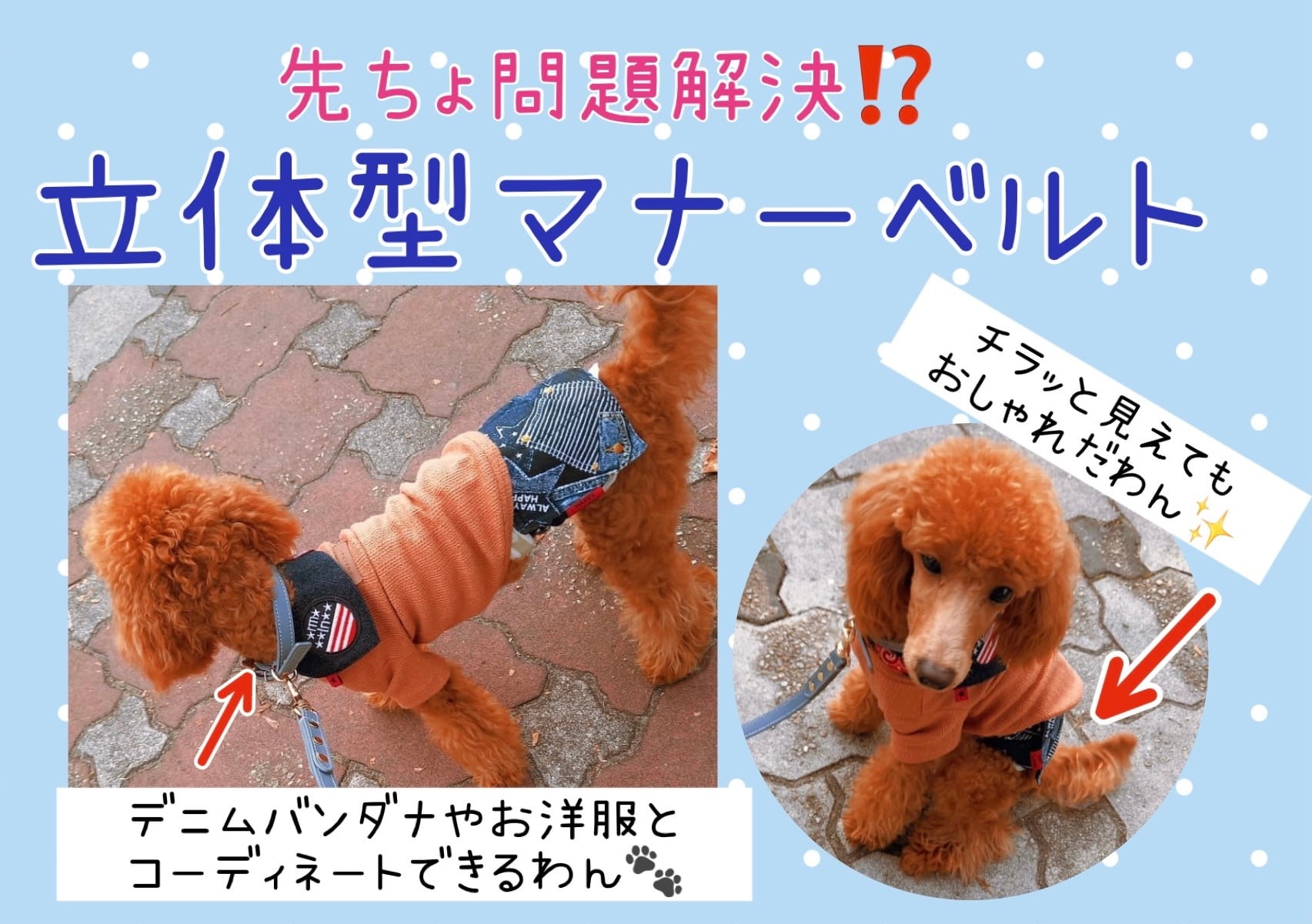 マナーベルト | わんこの幸せバンダナ