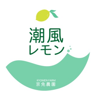瀬戸内「グリーンレモン」 5kg　ワックス・防腐剤不使用 　