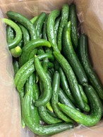 【ご自宅用に♪】岩手県産！「露地栽培きゅうり」約4kg～