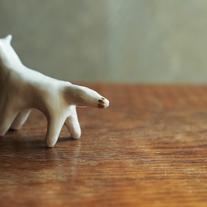 キラリと光るお鼻の、白いキツネ