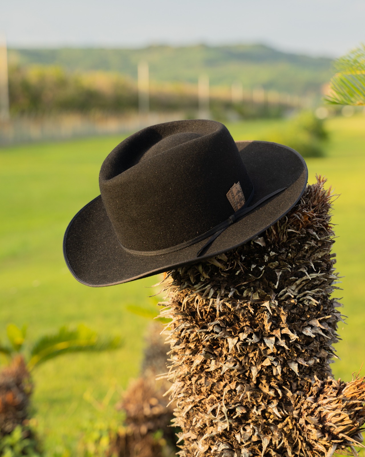 Chris Adams -Rabbit Hat