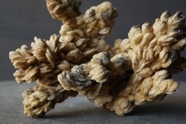 ポーランド産バライト/マーカサイト Barite / Marcacite 1667