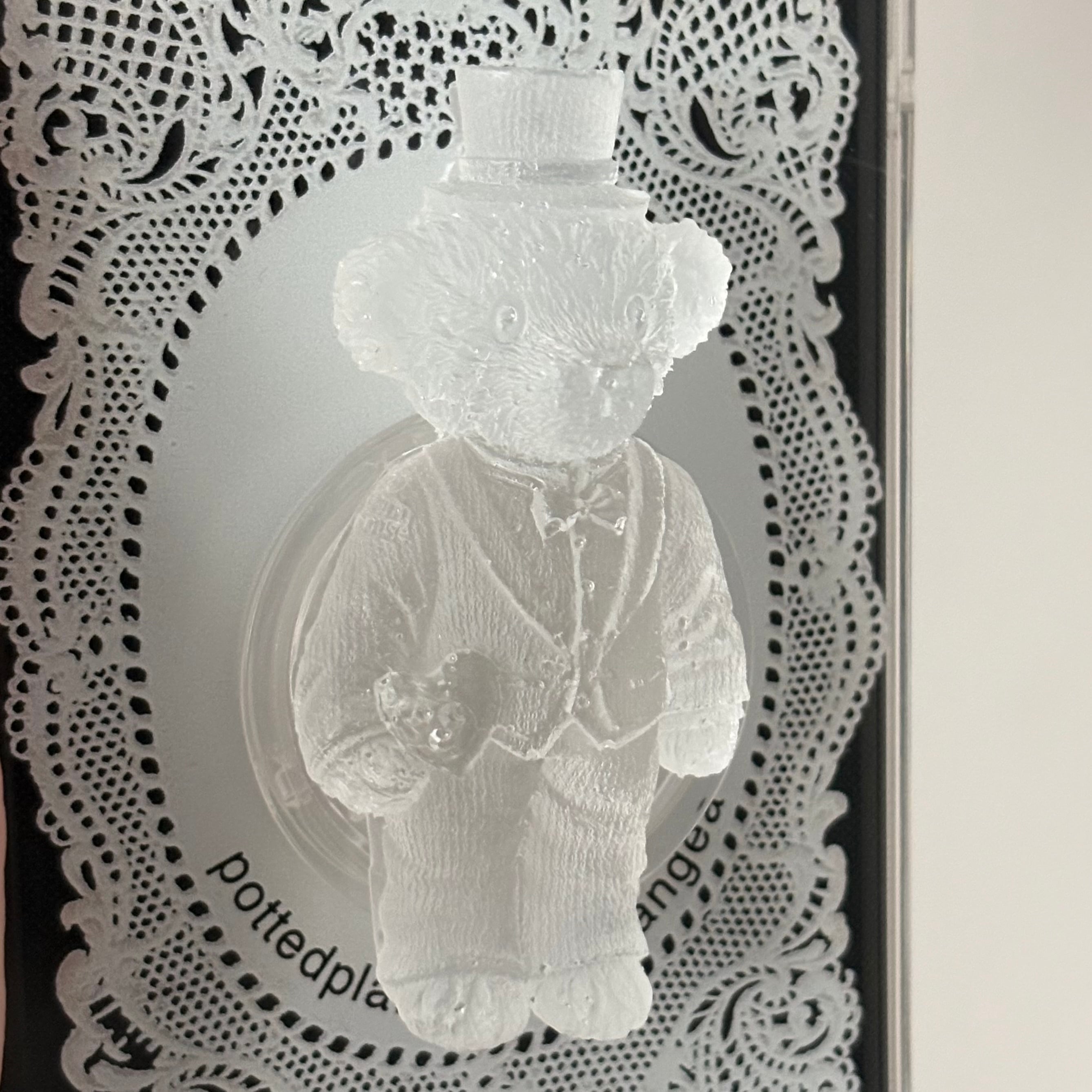 Teddy Bear Ice Griptok(Magsafe)