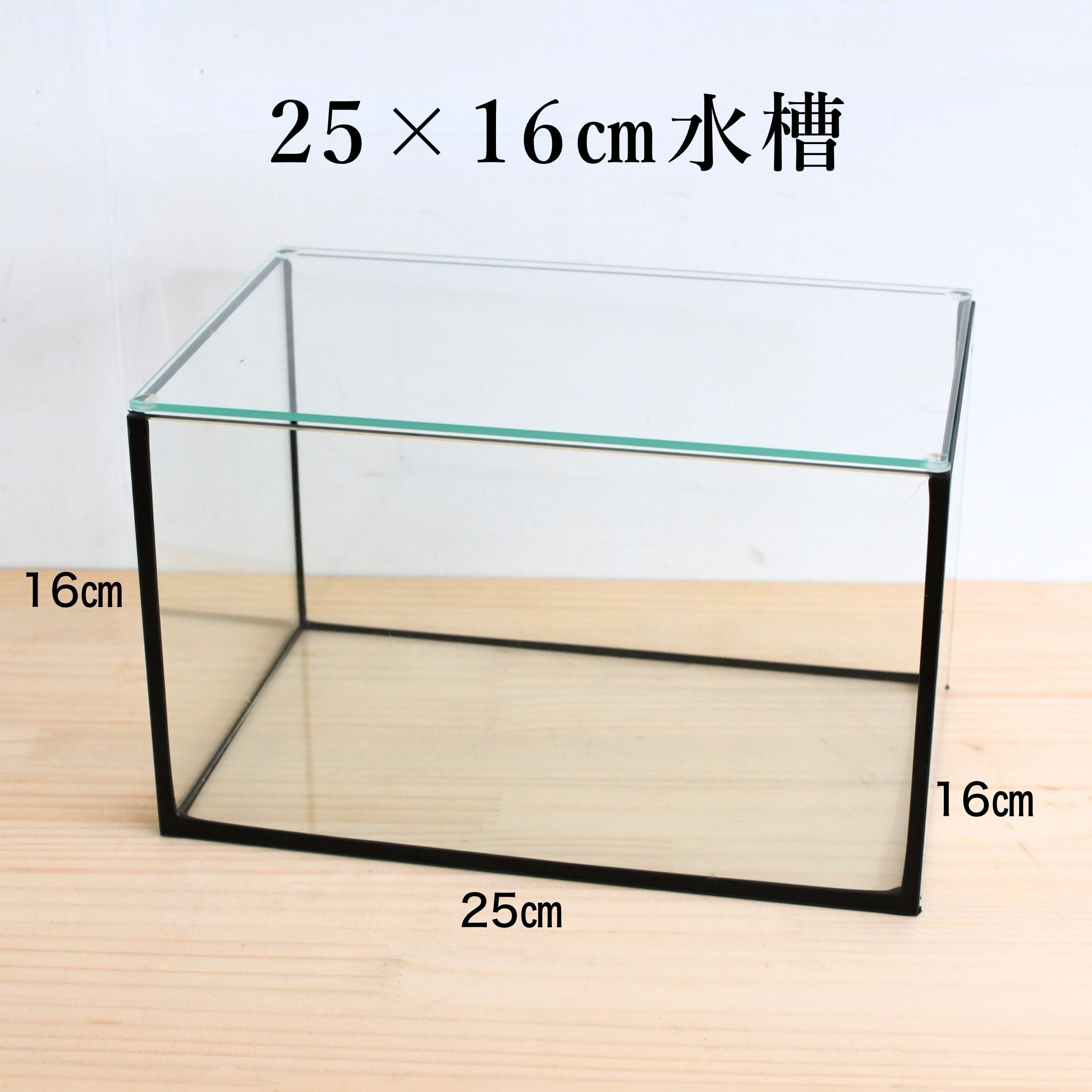 【ガラス容器】 苔テラリウム用 25×16cmガラス水槽 (Lowタイプ)(25㎝ × 16㎝ × 高さ16㎝)