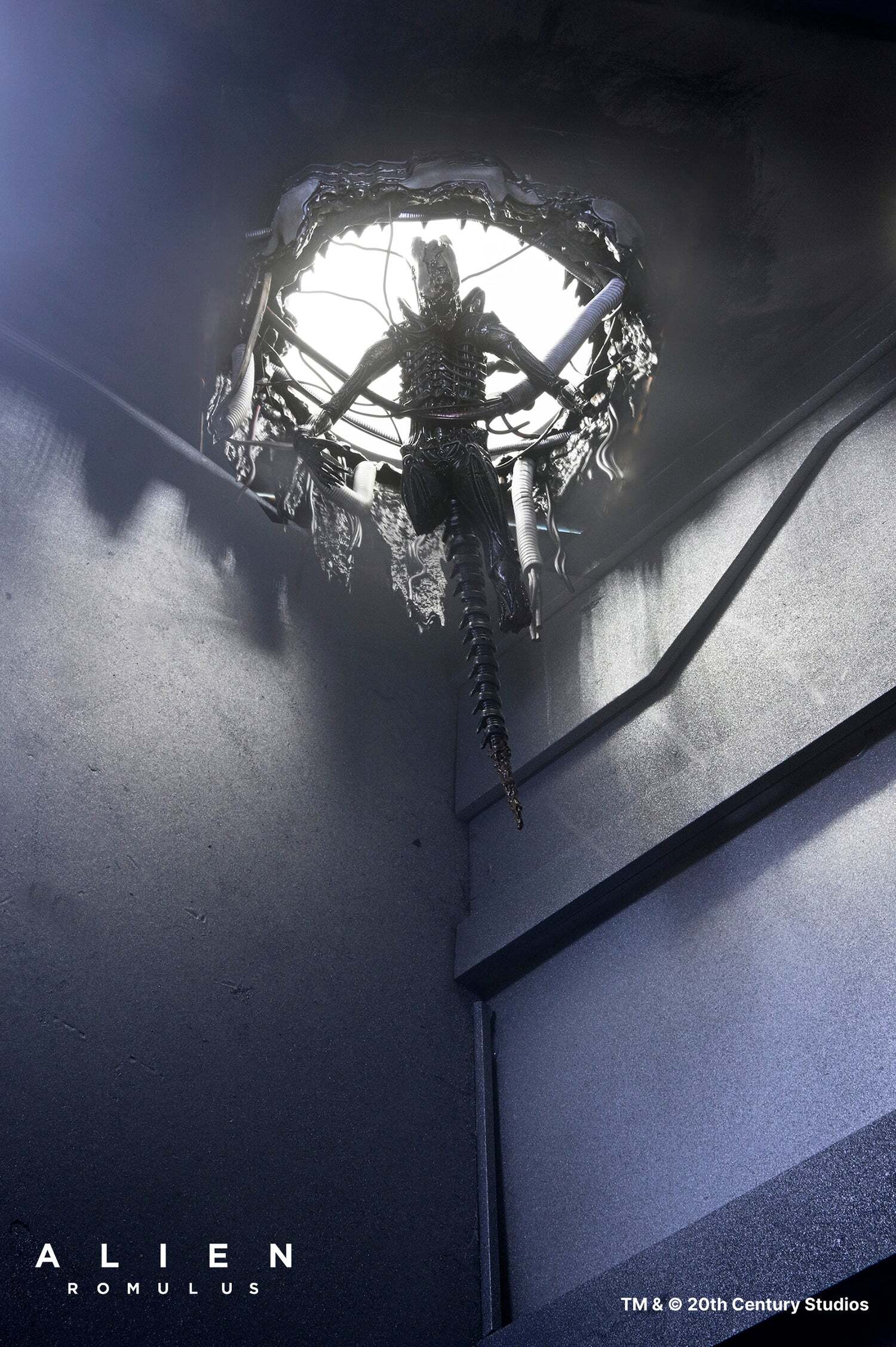 ネカ エイリアン ロムルス ゼノモーフ XX121 サスペンデッド・ラボ DX