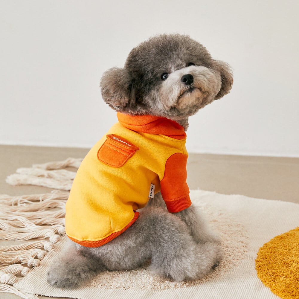 韓国犬服