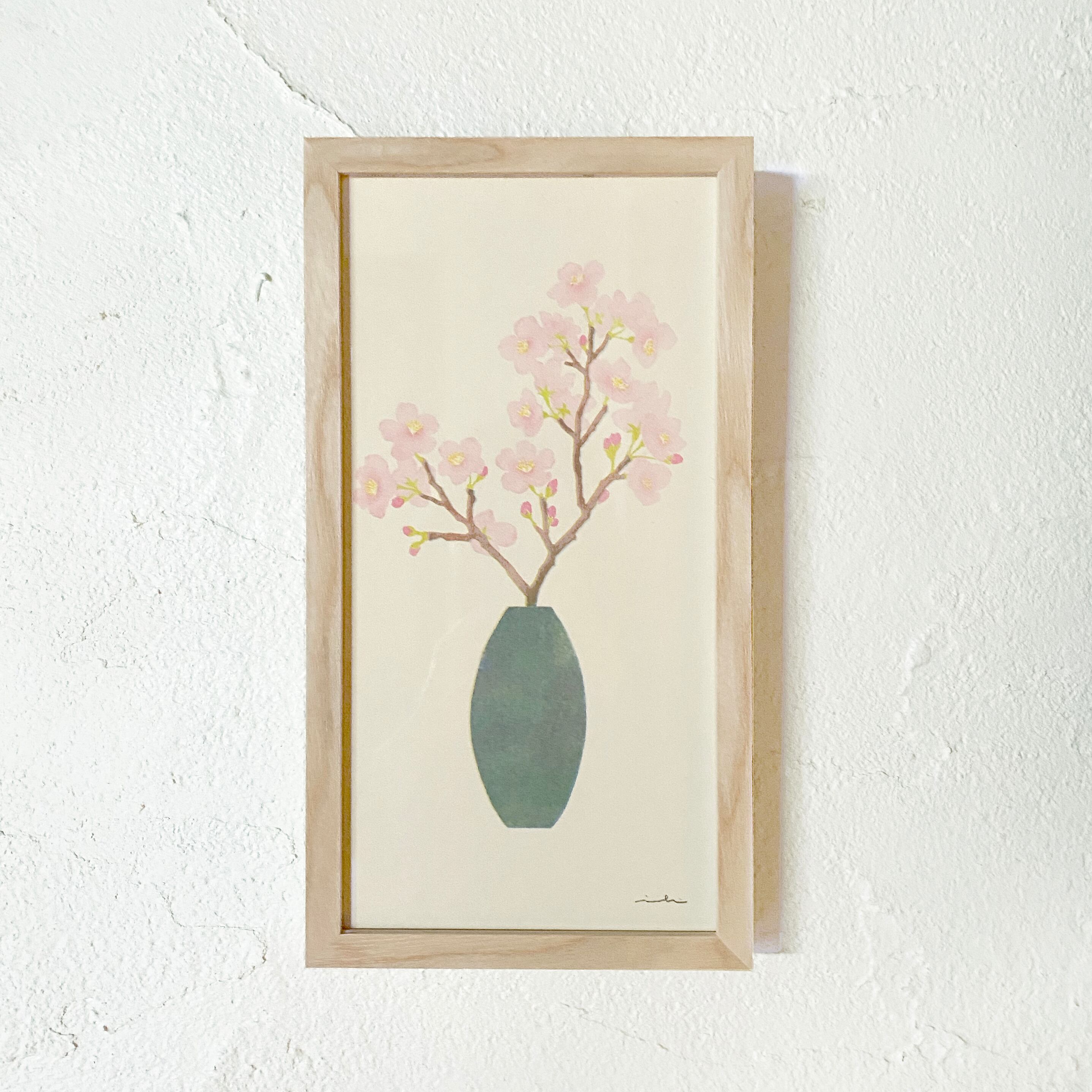 桜 | hachizoko