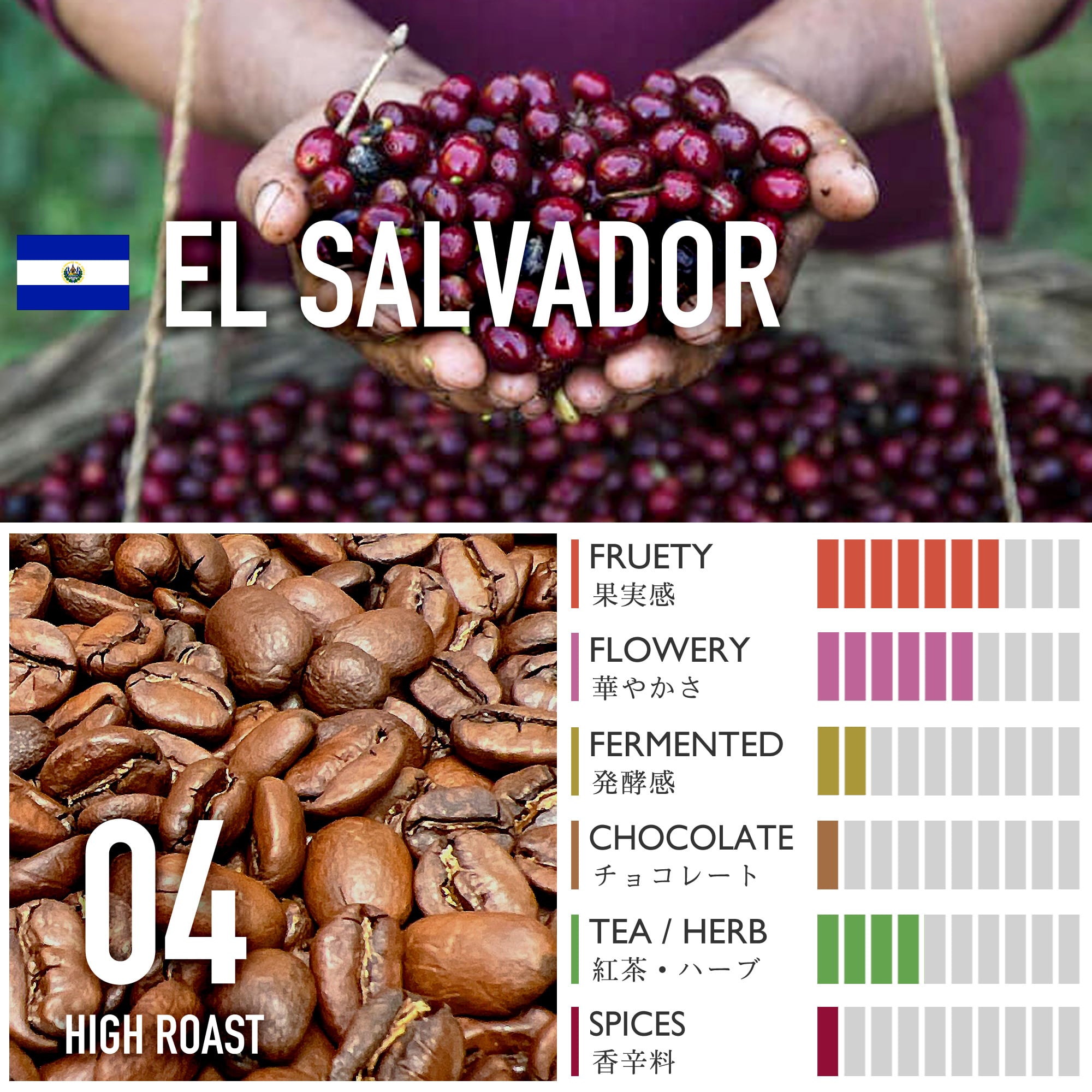 エルサルバドル/ロマ・ラ・グロリア農園・パカマラ・ナチュラル【中煎り】