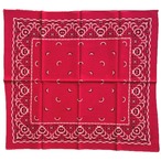 【Good！】1950s HERCULES ヴィンテージ バンダナ　③