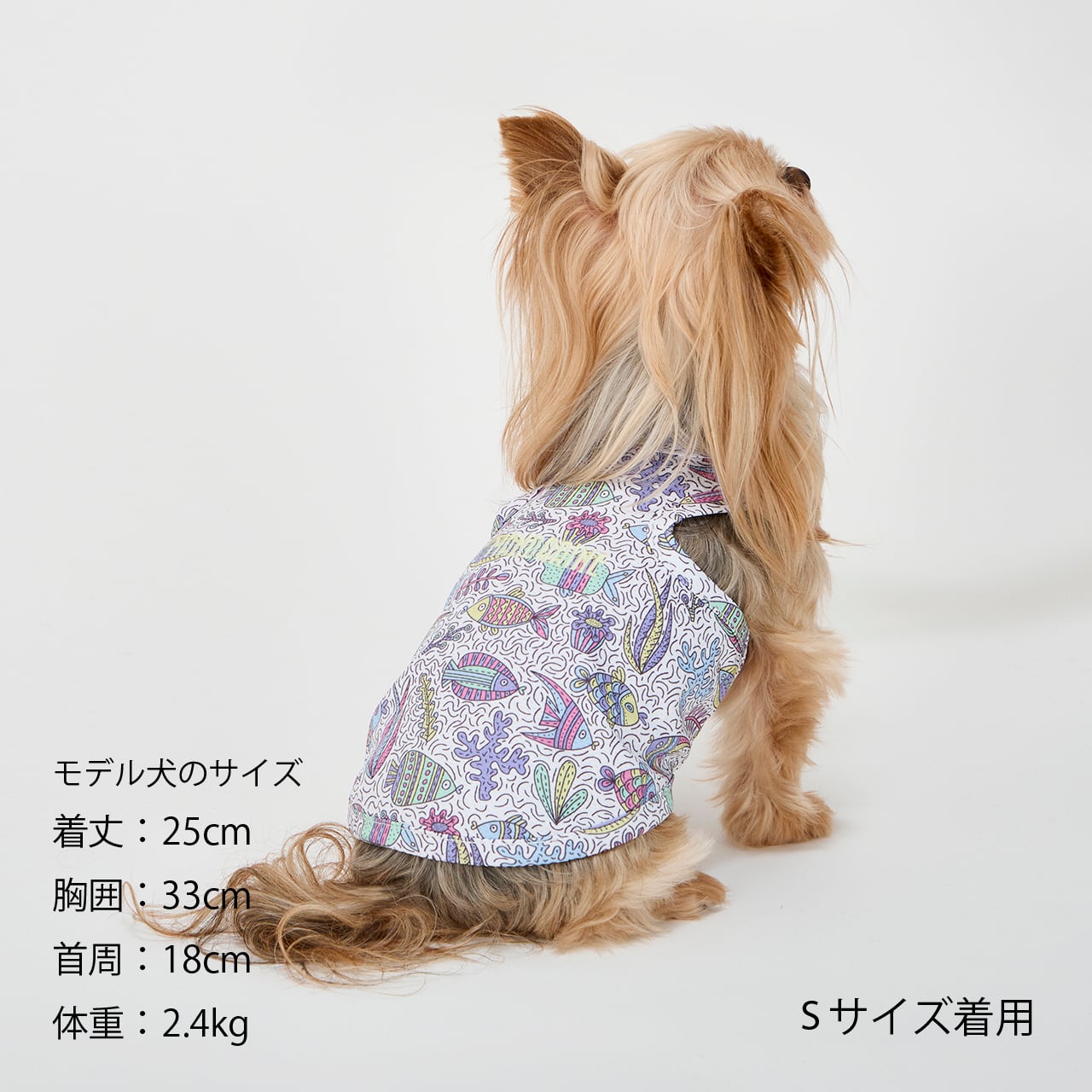 CCL COOLING TANK（M.MD.L） CCLクーリングタンク | MANDARINE