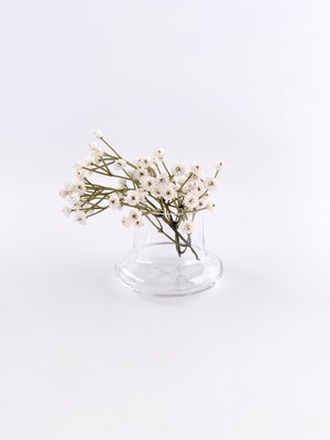 Layer 008