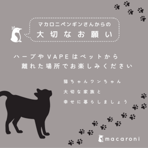 Ver2『CBG＋CBC×マカロニカンナビス』1ml