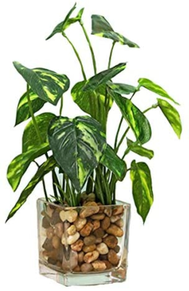 Jpcs Aicvhin 人工観葉植物 光触媒 プレミアム 造花 観葉植物 簡単世話いらず フェイクグリーン ガラス鉢 常緑樹 Japan Classic Store