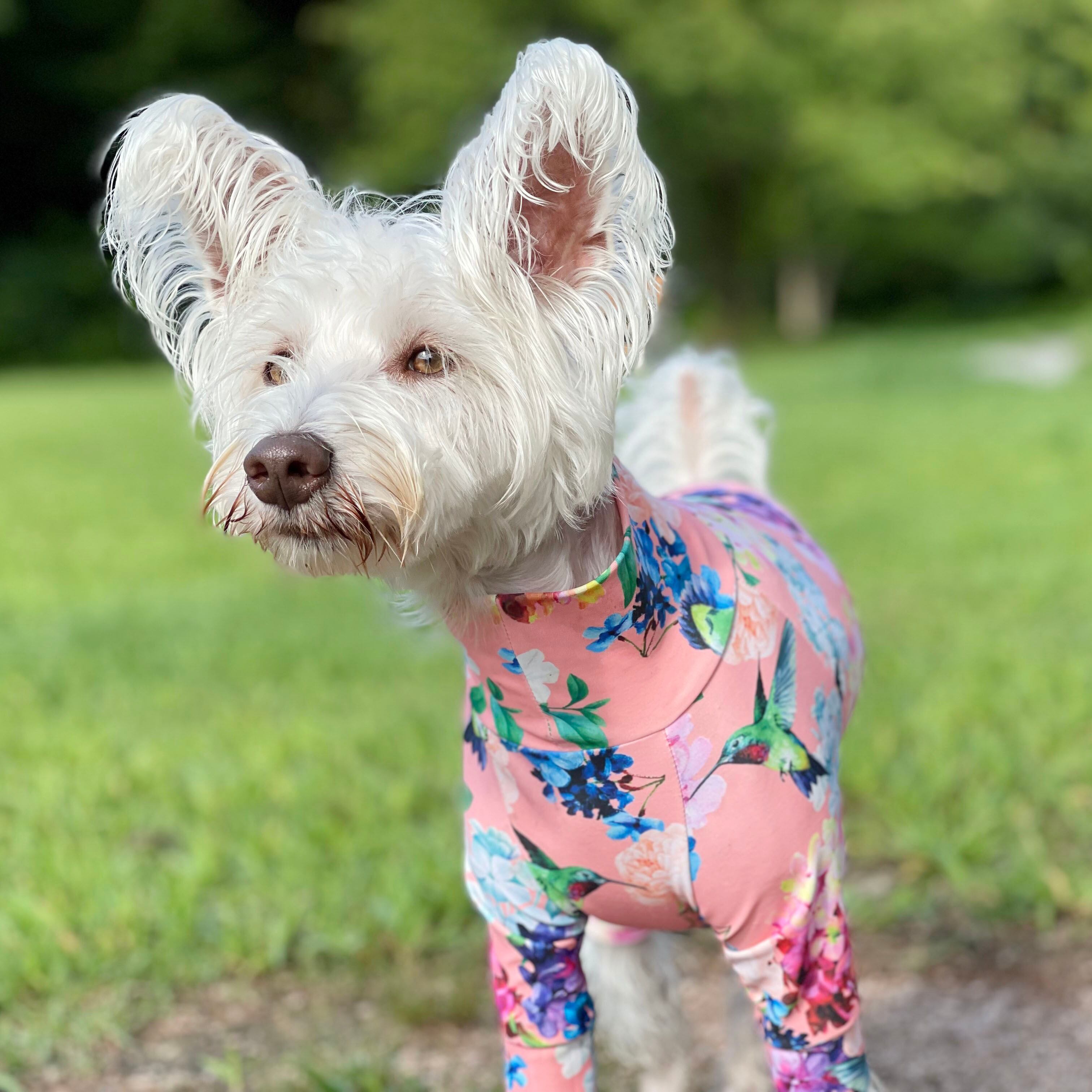 L Xlサイズ ハミングバード マルチプロテクトスーツ おしゃれ 犬 犬服 ドッグウェア ロンパース 柄 ドッグラン ラッシュガード 水着 Adesol Online Shop アデソル おしゃれな犬服 ドッグウェア