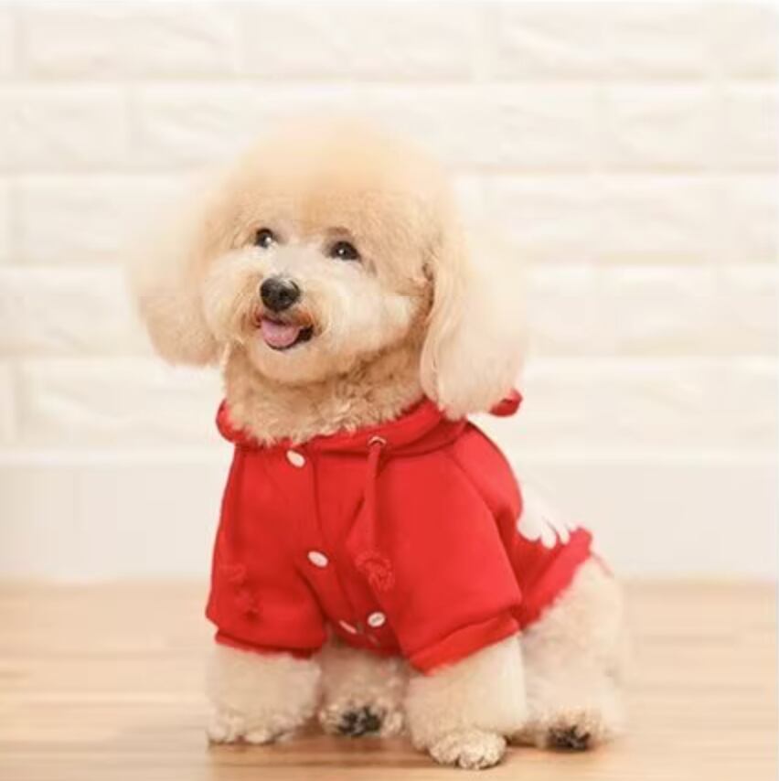 ドッグ 犬 中型犬 小型犬 フレブル チワワ パグ ヨークシャテリア Mダックス ヨークシャー ドッグウェア パーカー タイト スリム 細身 ストレート シンプル カジュアル レトロ ラフ ボーイッシュ スポーティー ルーズ 個性的 主役級 存在感 都会的 カレッジ風 学生風 アメリカン 秋 冬 ロングシーズン 男の子 女の子 成犬 子ども お出かけ お泊まり アウトドア キャンプ パーティー イベント リゾート 旅行 レストラン 公園 休日 ショッピング ツーリング 庭 ガーデン 朝 散歩 ウォーキング