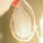 Lemon Soda 19 - アゲートヒーリングチャイム / Agate Healing Chime 1208