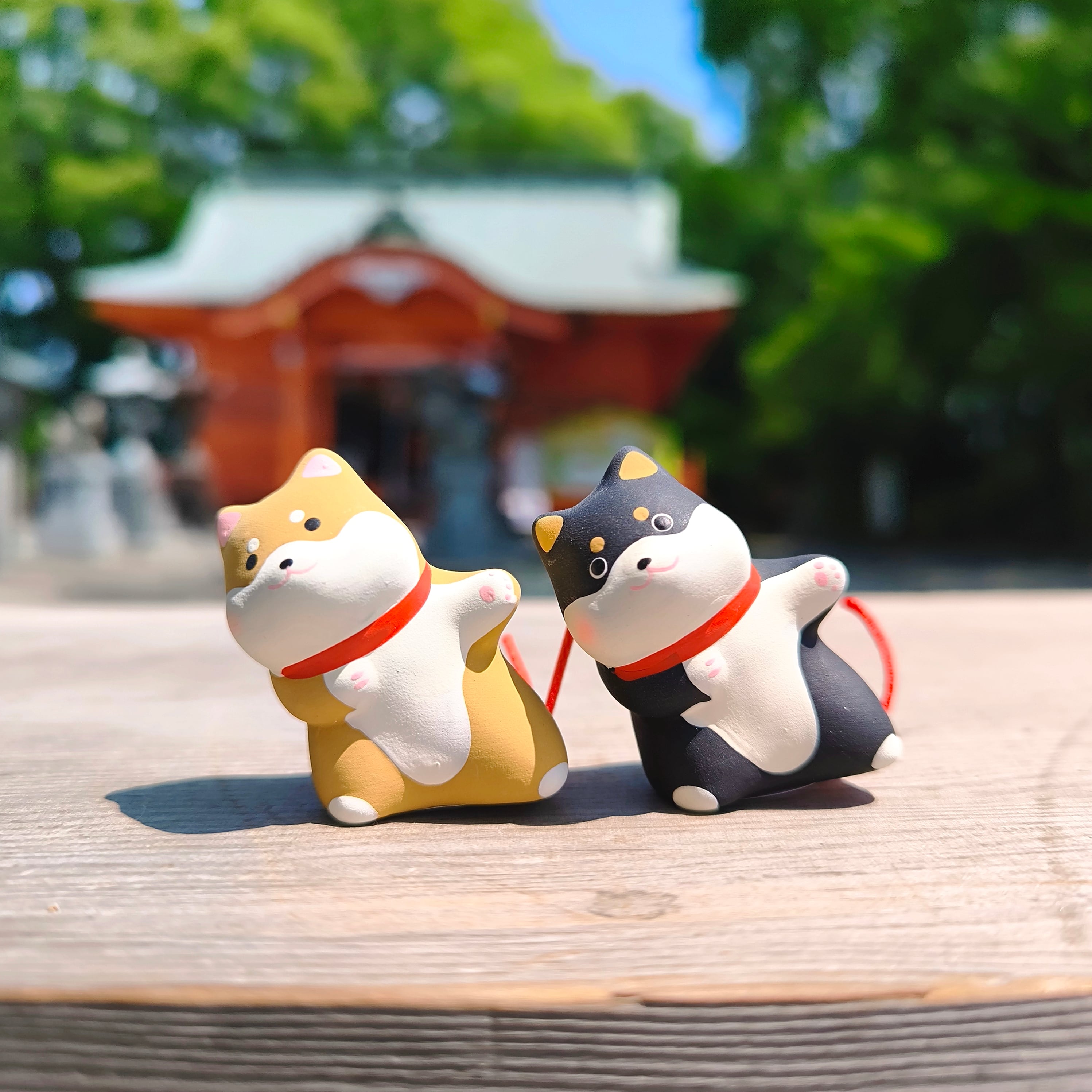 こびとづかん 超リアルソフビ シボリオオチチ | Pay ID