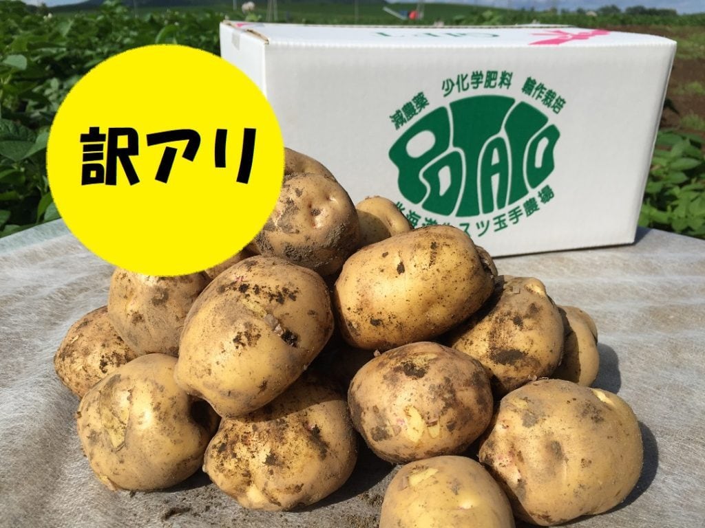 online　FARM　訳アリじゃがいもキタアカリ　TAMATE　10kg【送料別】　shop