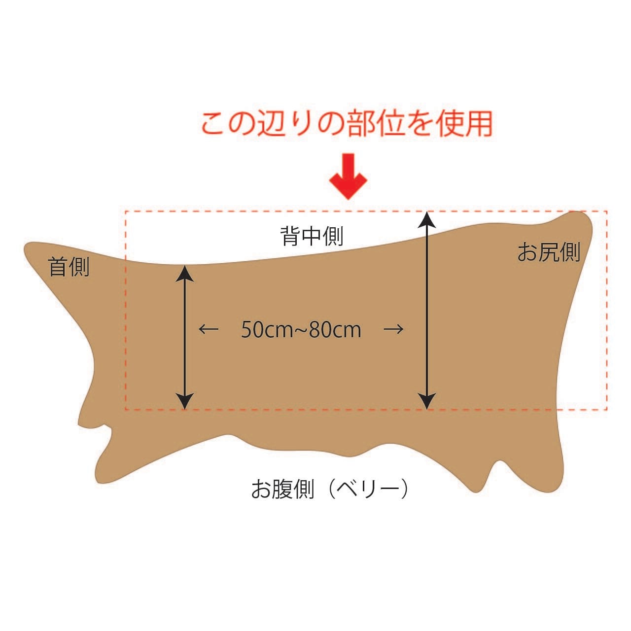 牛の本革一頭 鹿児島黒毛和牛 一頭買い ｜ うしの中山