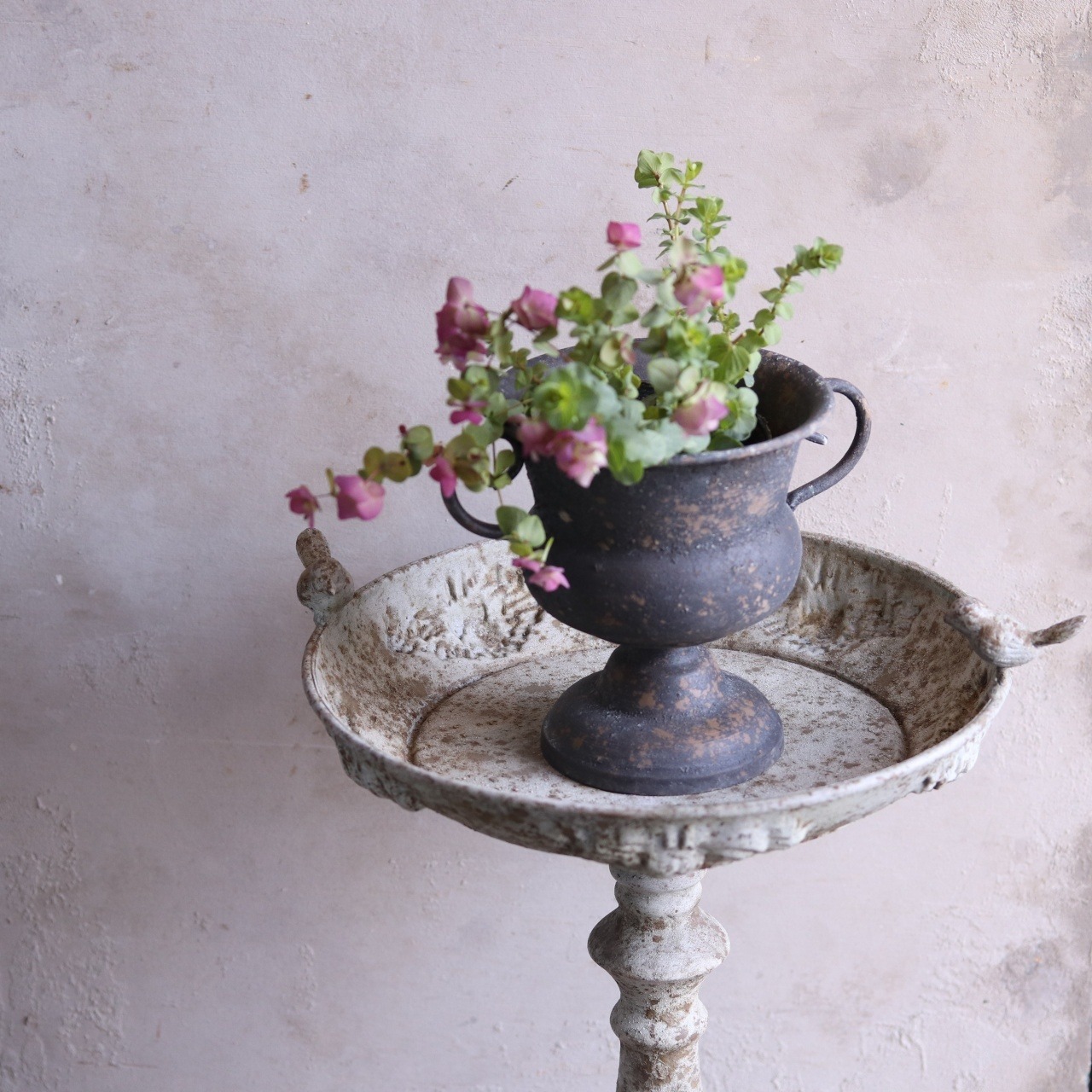 mondimanche　ハーブ　オレガノ　ケントビューティー｜寄せ植えにオススメ　丈夫　寄せ植えをオシャレにする