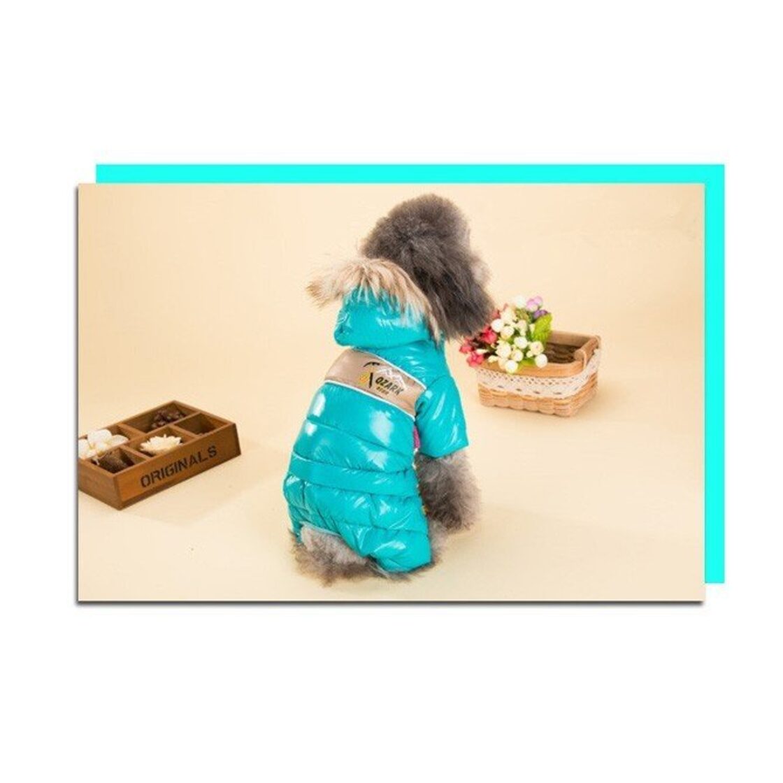 ペットウェア ドッグウェア リード用穴あり 犬服 小型犬 かわいい 