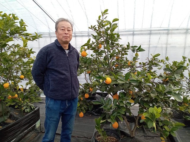 雪国レモン4個入り