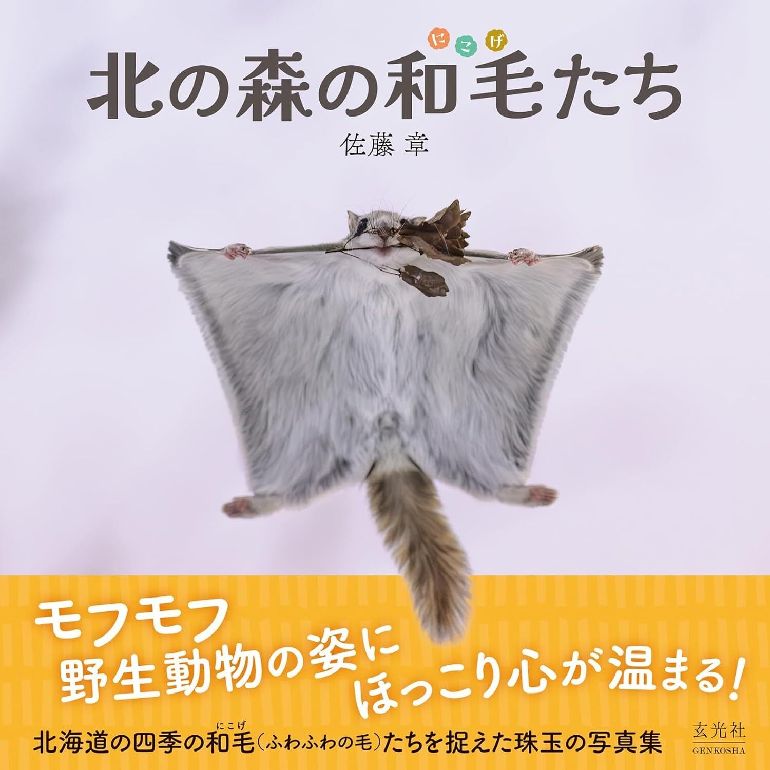限定特典付き】写真集『北の森の和毛たち』 直筆サイン入れサービス