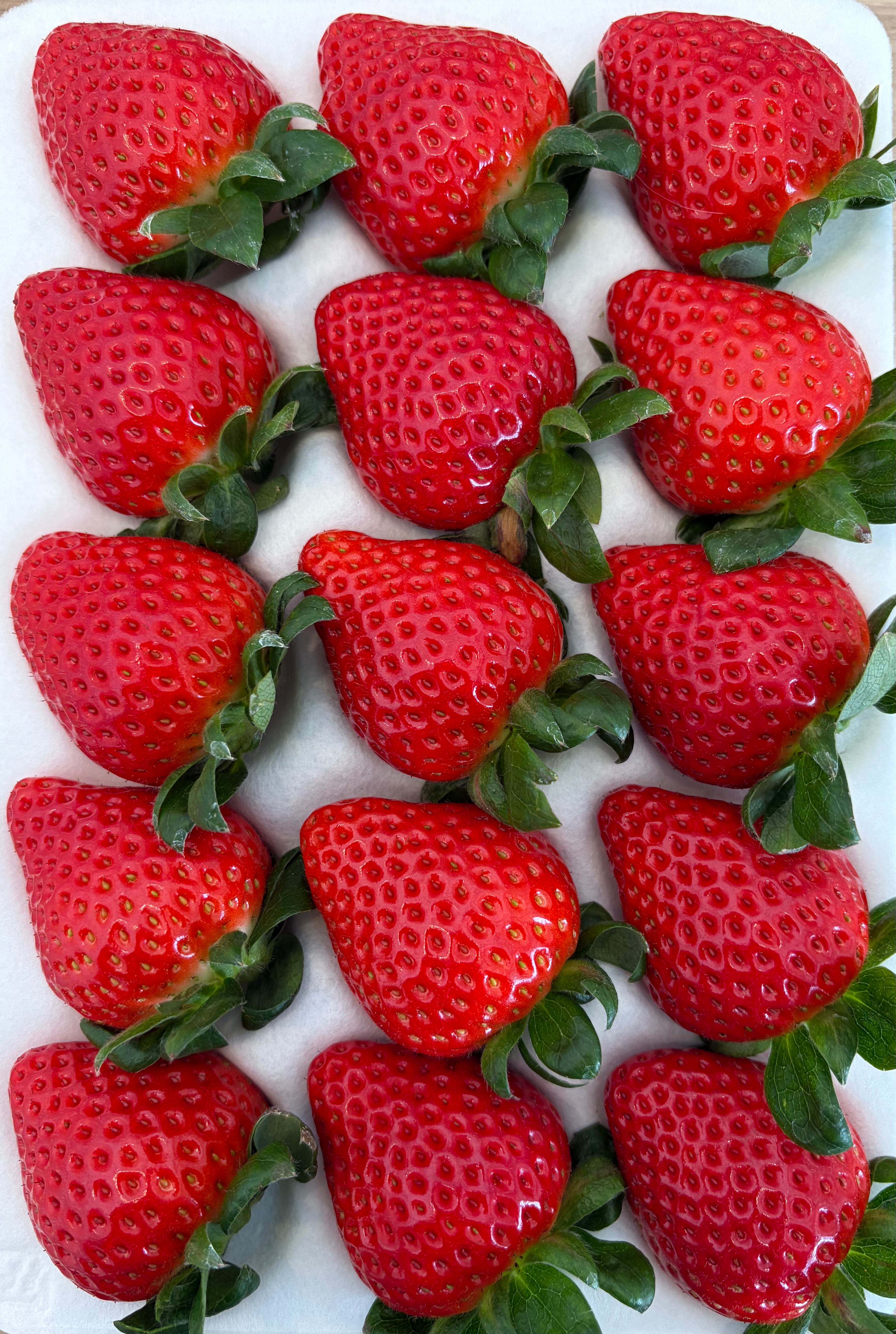 M's BERRY