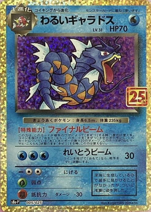 【Aランク】わるいギャラドス(25th)