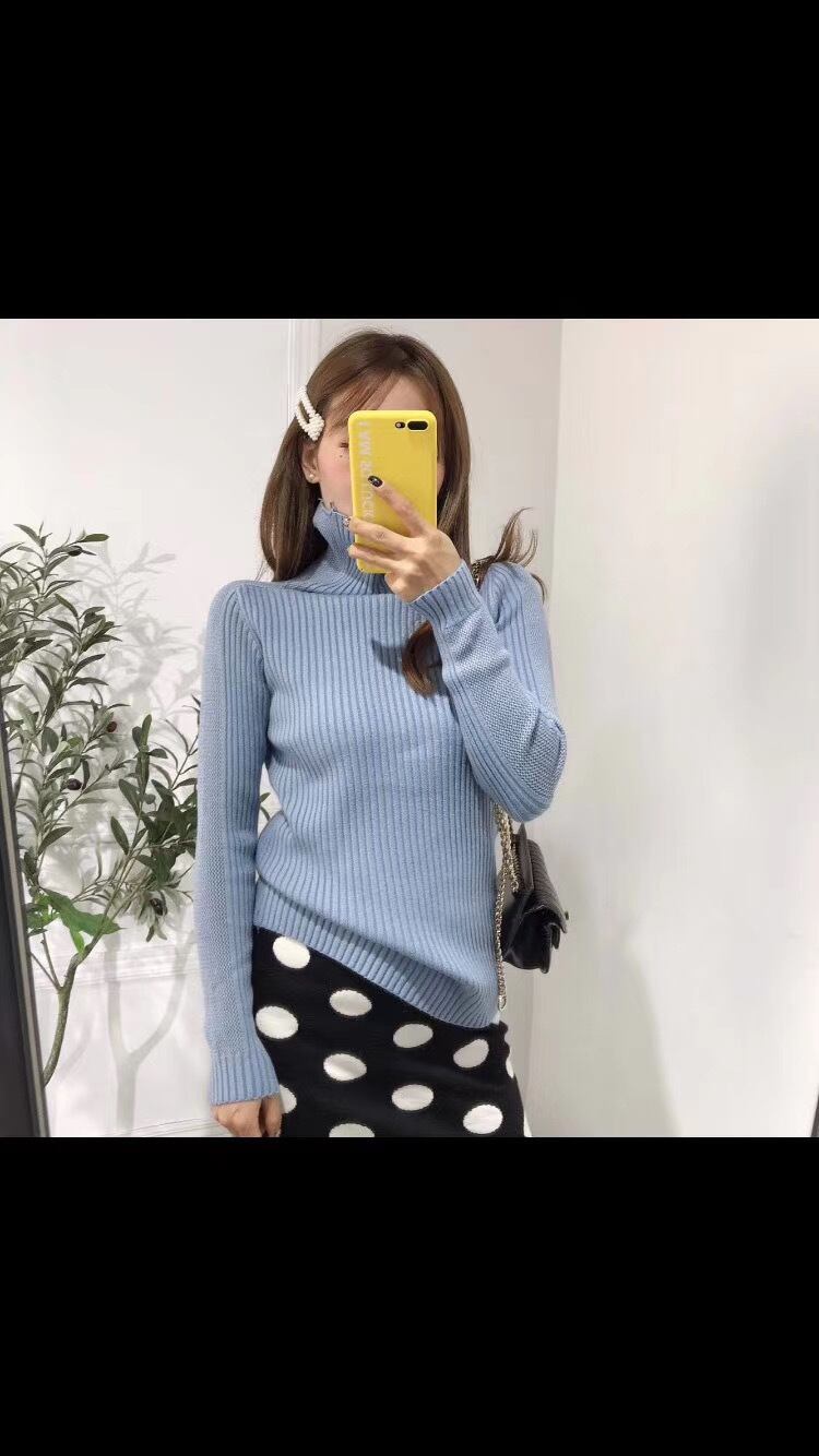 タートルネックリブニット