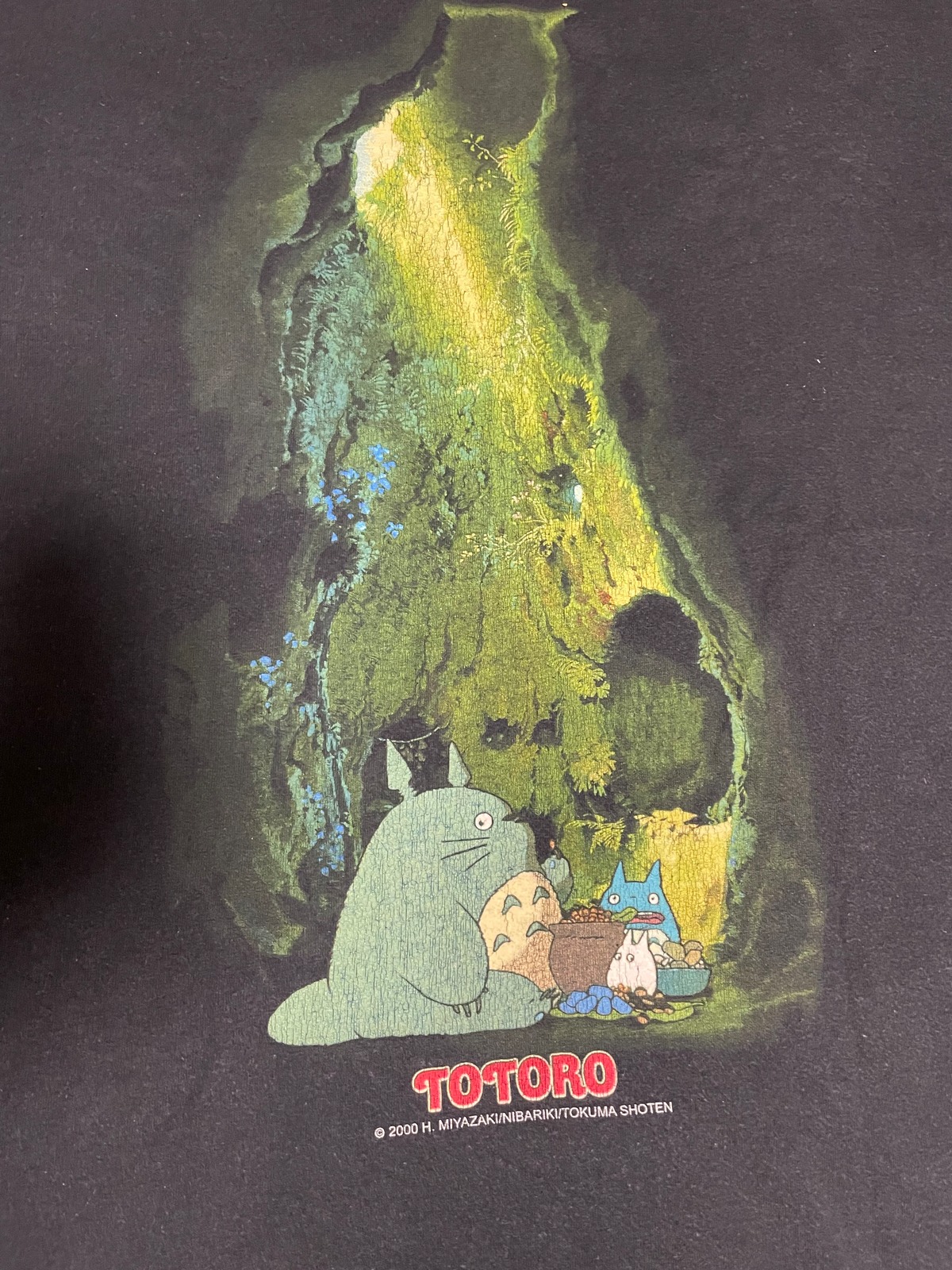 ドスペ となりのトトロ ヴィンテージ ジブリ アニメ Tシャツ | 世界最 
