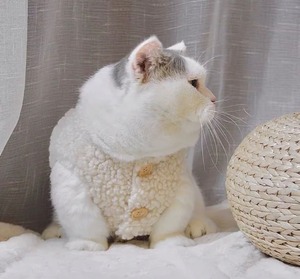 トップス❤︎
