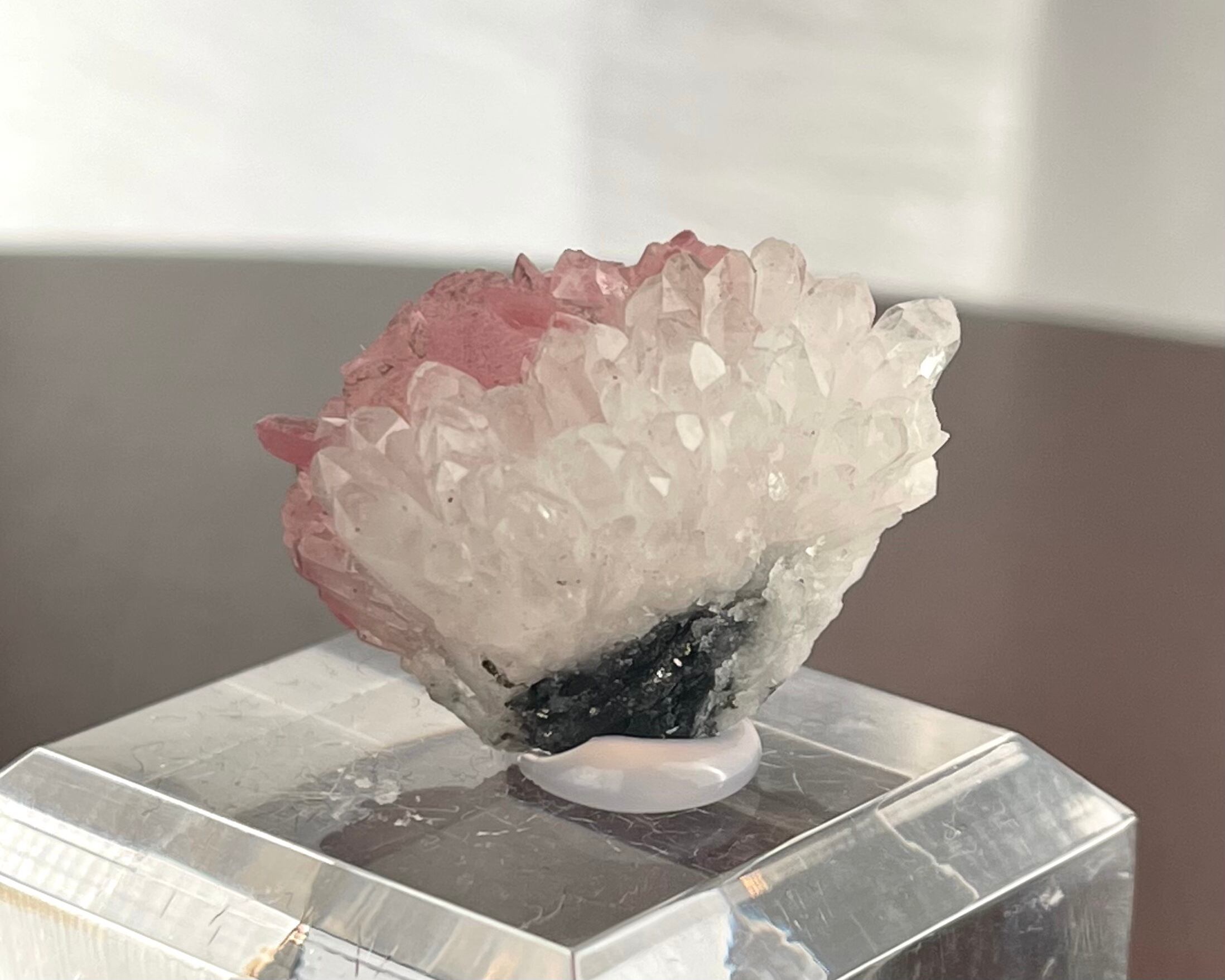 ロードクロサイト【Rhodochrosite with Quartz】中国産 | PEANUTS MINERALS