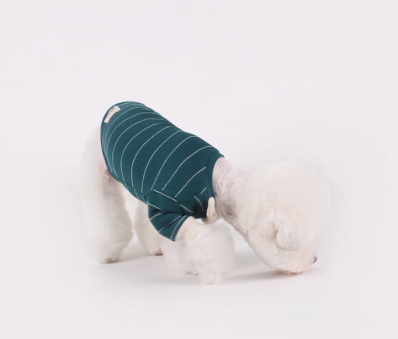 犬服・スカーフセット 水色 ストライプ スカーフストライプTシャツ S~XL / 犬の服 犬服 ペット洋服 ドッグ