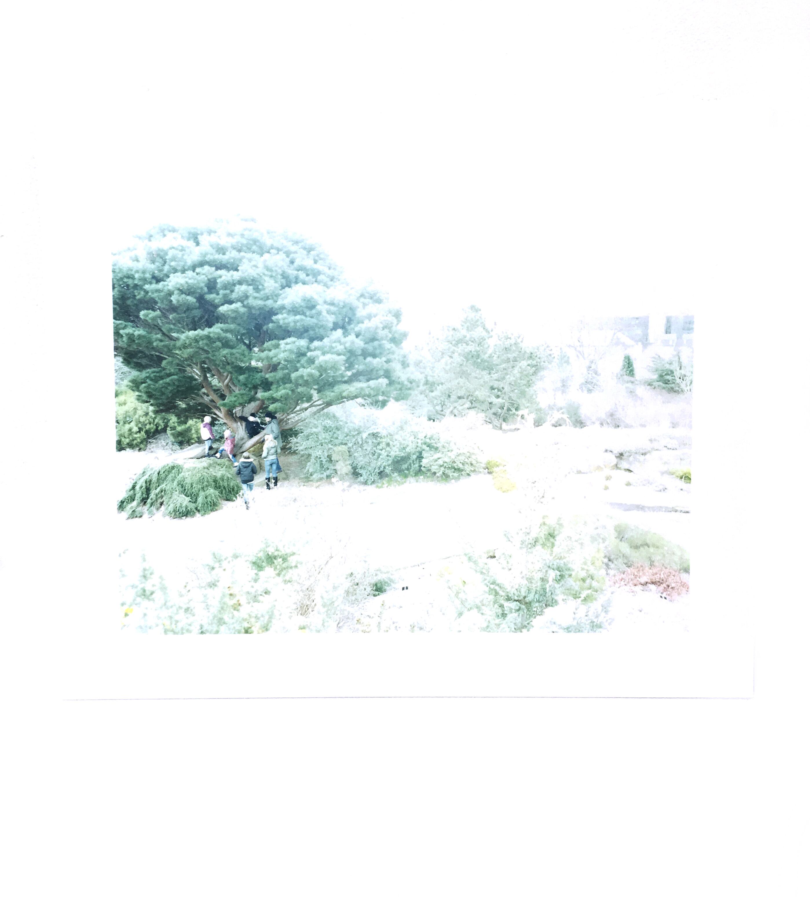 牧野智晃 写真集「Daydream」 サイン入り | art shop / nap store