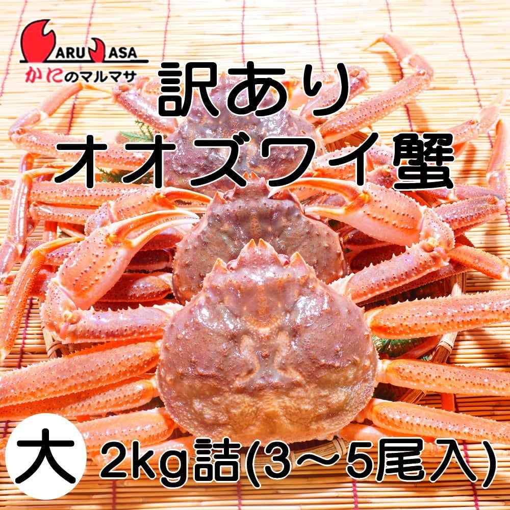北海道産 訳あり 活オオズワイガニ（大） 1.5kg詰（3～4尾入） お