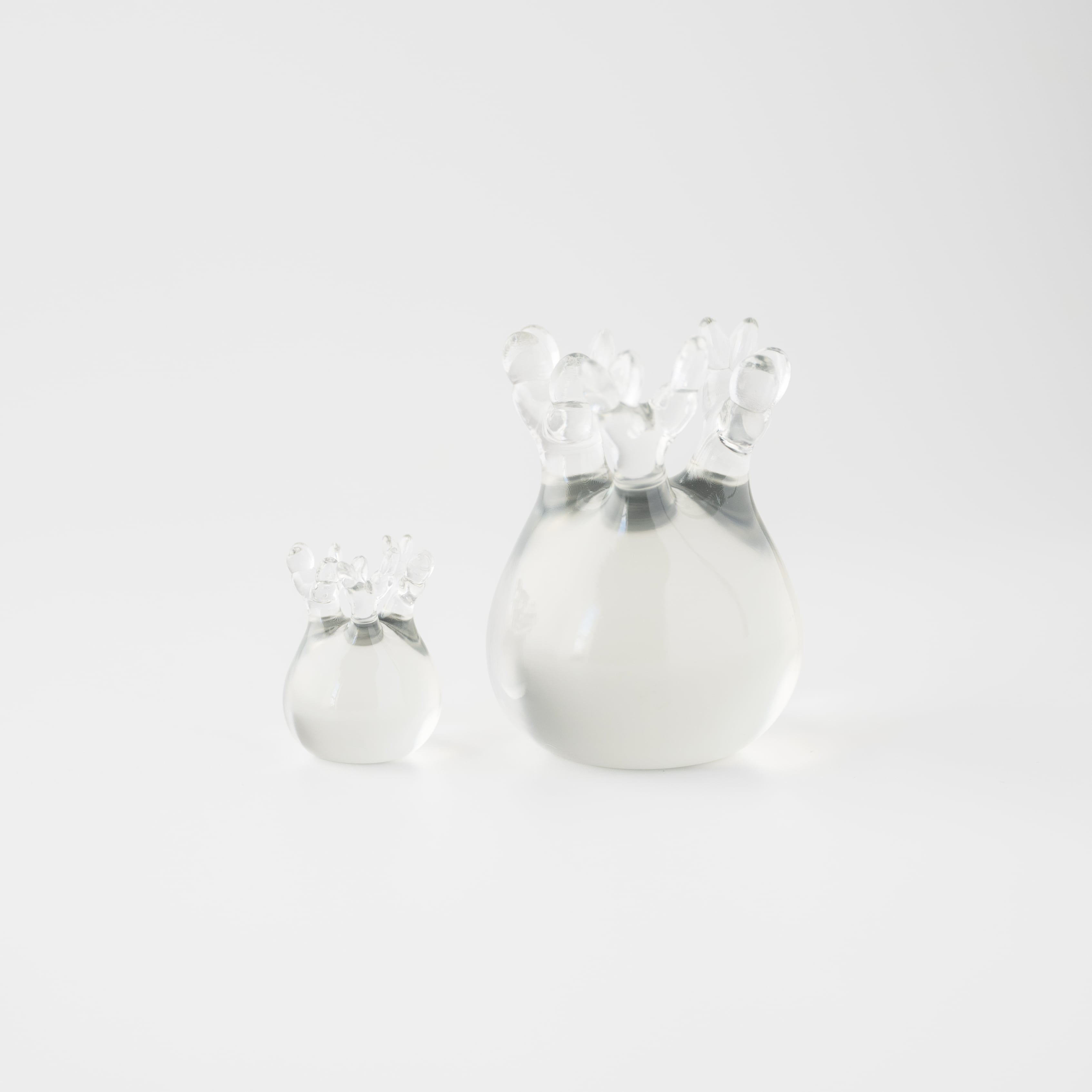 グラキリスフィギュア｜Sサイズ（透明） | YOAKE GREEN SHOP