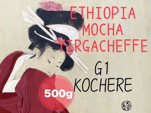 エチオピア　モカ　イリガチャフG１　コチャレ｜お得な500g コーヒー豆【ハイロースト】