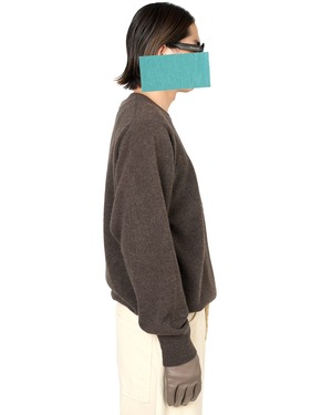 ssstein "EXTRA FINE WOOL KNIT CREW NECK LS〔MOCHA〕"