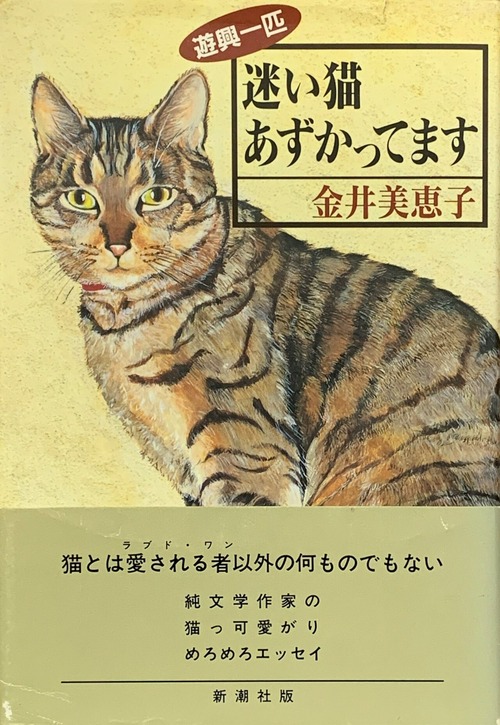 迷い猫あずかってます（単行本）（帯付き）