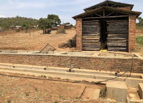 【タンザニア】サウステラAA ［1000g］浅煎り 自家焙珈琲