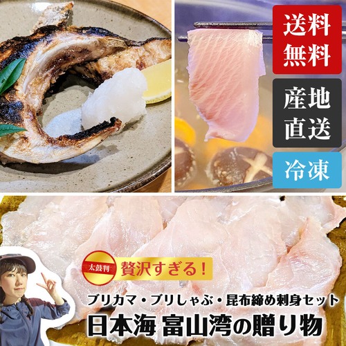 【送料無料】日本海富山湾の贈り物 (ブリカマ ブリしゃぶ 昆布締め刺身）ギフトにぴったり。