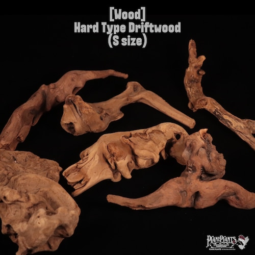 【送料別】Hard Type Driftwood (S size)