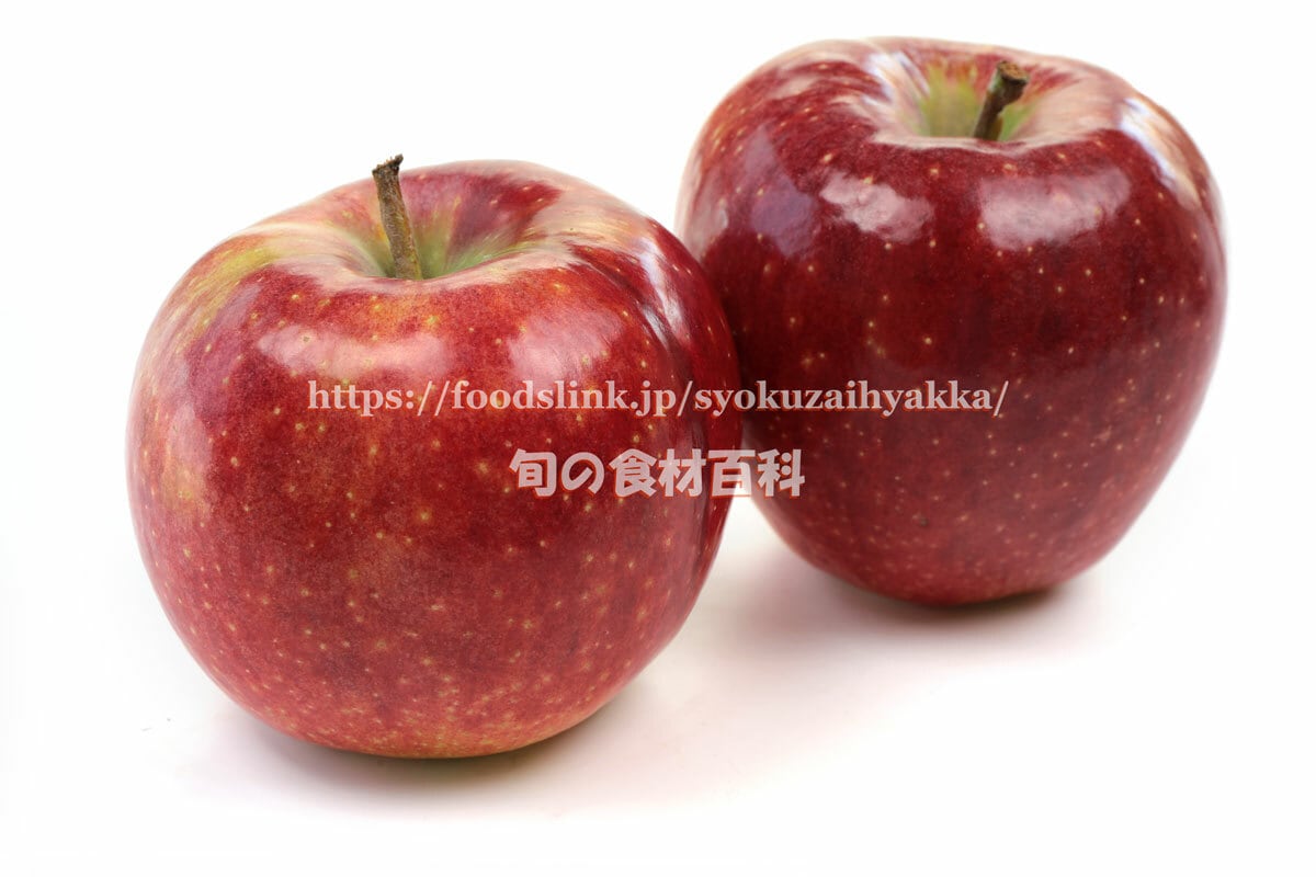 りりリンゴページ シナノリップ（リンゴ） shinanoL017(6720x4480) | 旬の食材百科